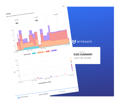 Byteasafe Issues Summary report
