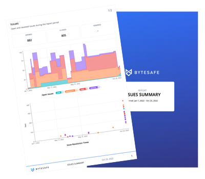 Bytesafe Issues Summary report